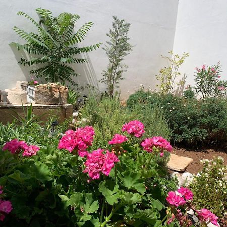 Le Cummerse In Centro Alberobello Eksteriør bilde